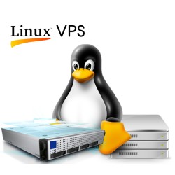 Basic Linux VPS