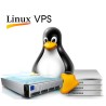 Professional Linux VPS